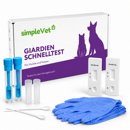 Verpackung des simpleVet Giardien-Schnelltests mit zwei Testkassetten, Proberöhrchen, Kotsammlern und Nitrilhandschuhen