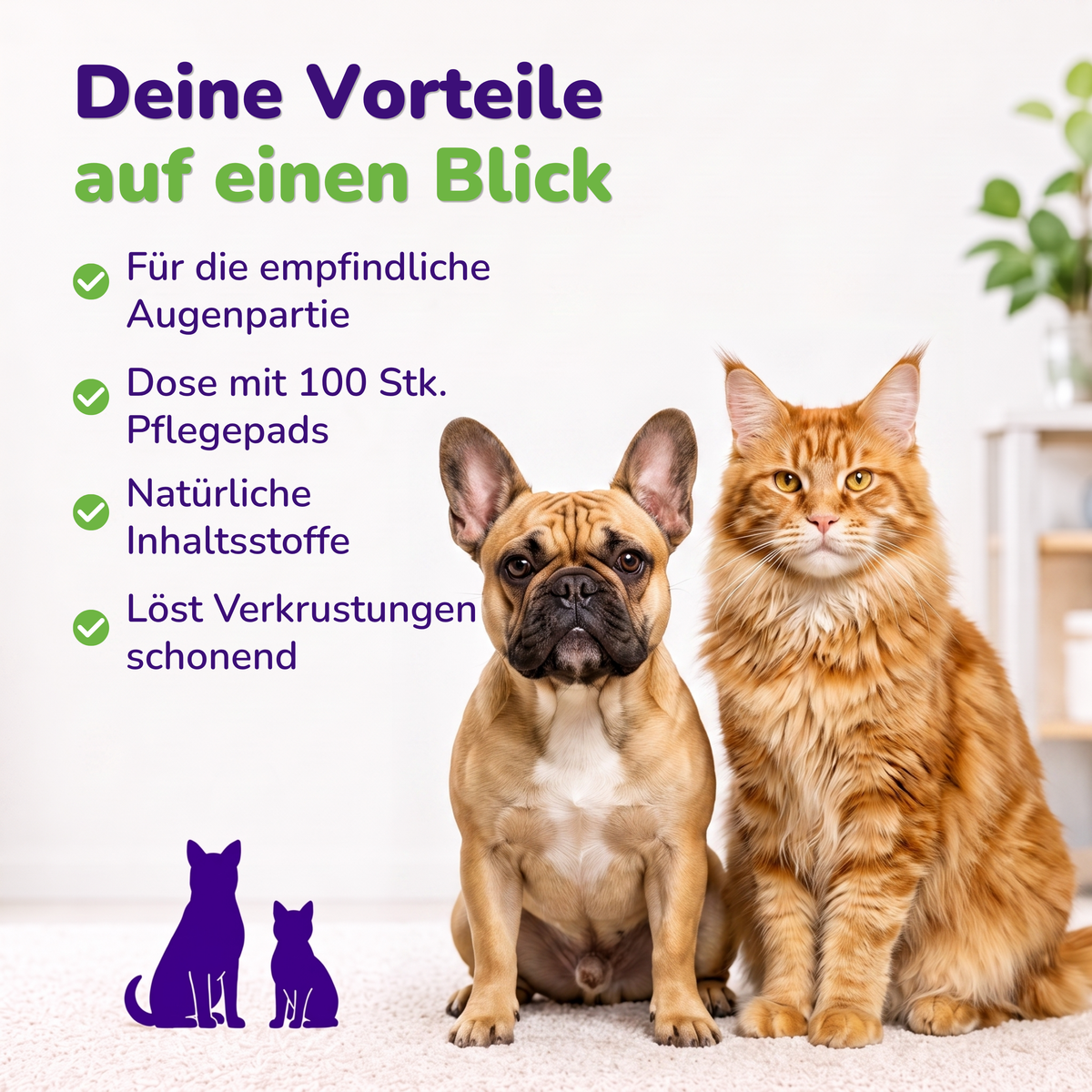 Übersicht der Produktmerkmale: für die empfindliche Augenpartie, Dose mit 100 Pflegepads, natürliche Inhaltsstoffe, löst Verkrustungen schonend
