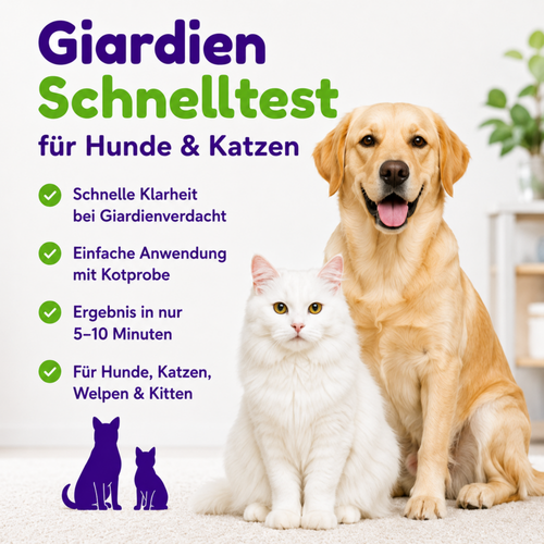Übersicht der Produktmerkmale: schnelle Klarheit bei Giardienverdacht, einfache Anwendung mit Kotprobe, Ergebnis in 5 bis 10 Minuten, geeignet für Hunde, Katzen, Welpen und Kitten