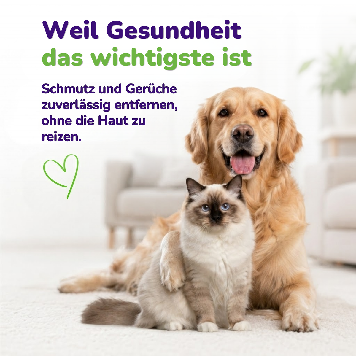 Golden Retriebver und Katze, dazu der Hinweis: Schmutz und Gerüche zuverlässig entfernen, ohne die Haut zu reizen.